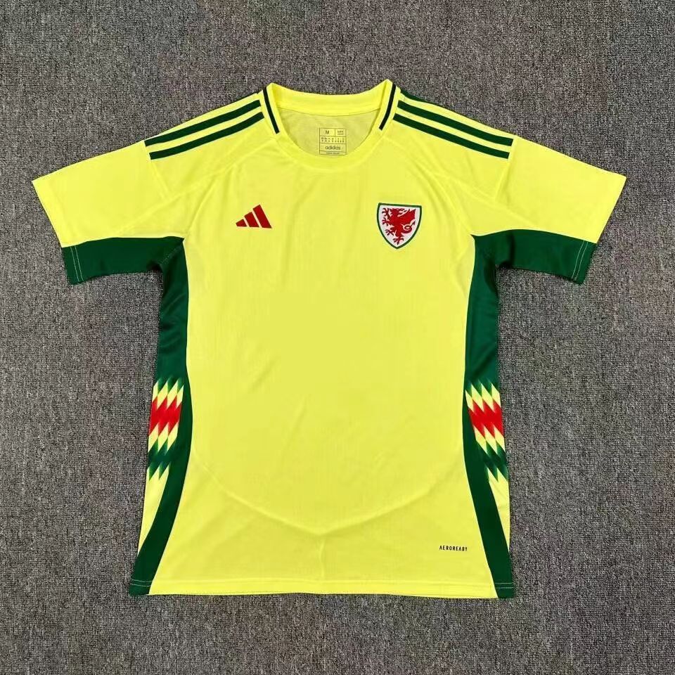 Fans Version 24/25 Wales Away