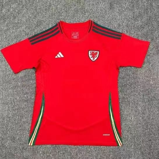 Fans Version 24/25 Wales Home