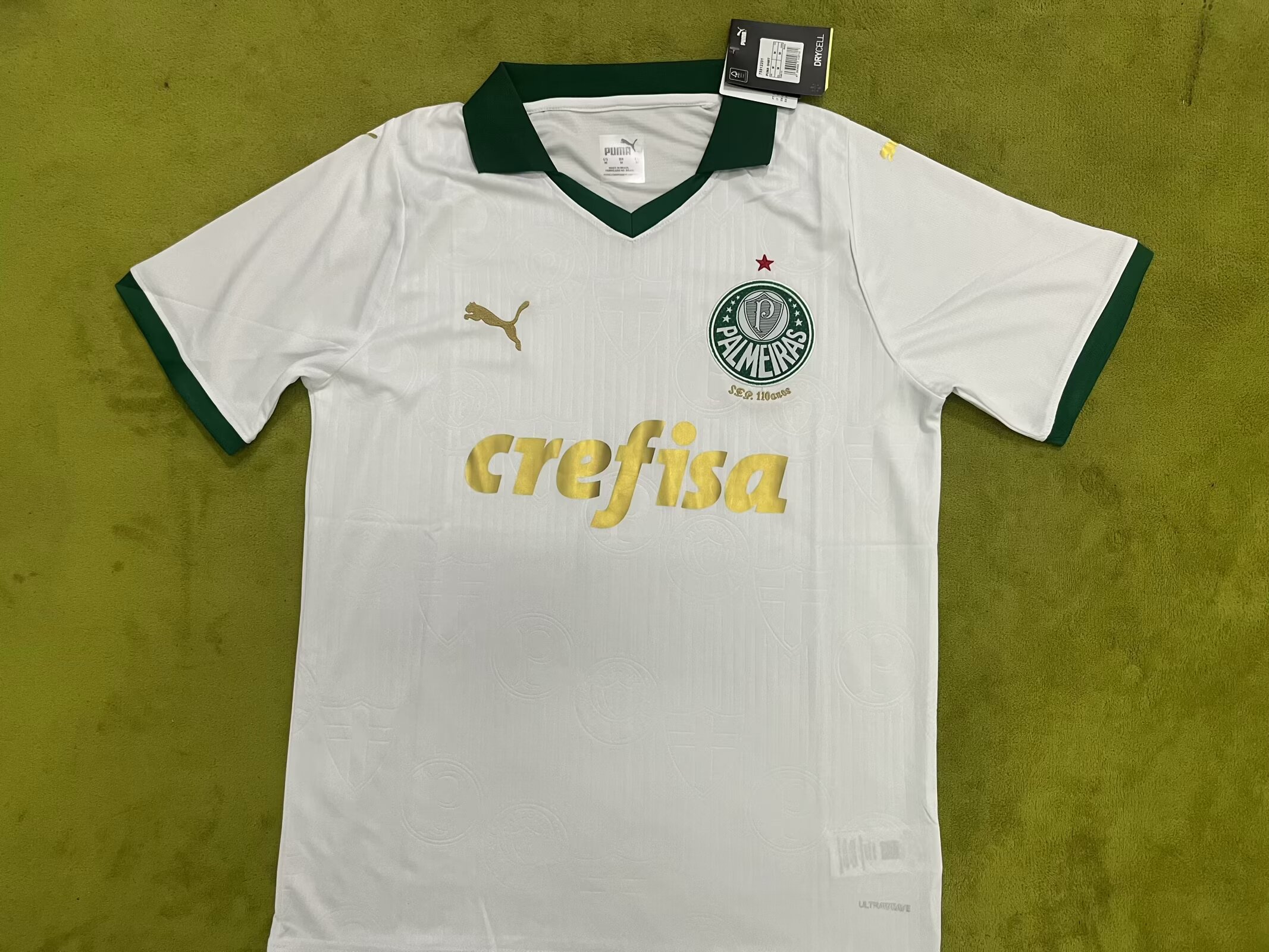 Fans Version 24∕25 Palmeiras away