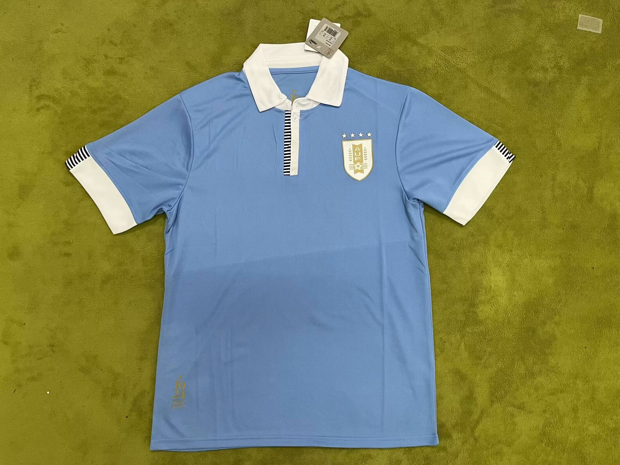 Fans Version 24/25 Uruguay polo