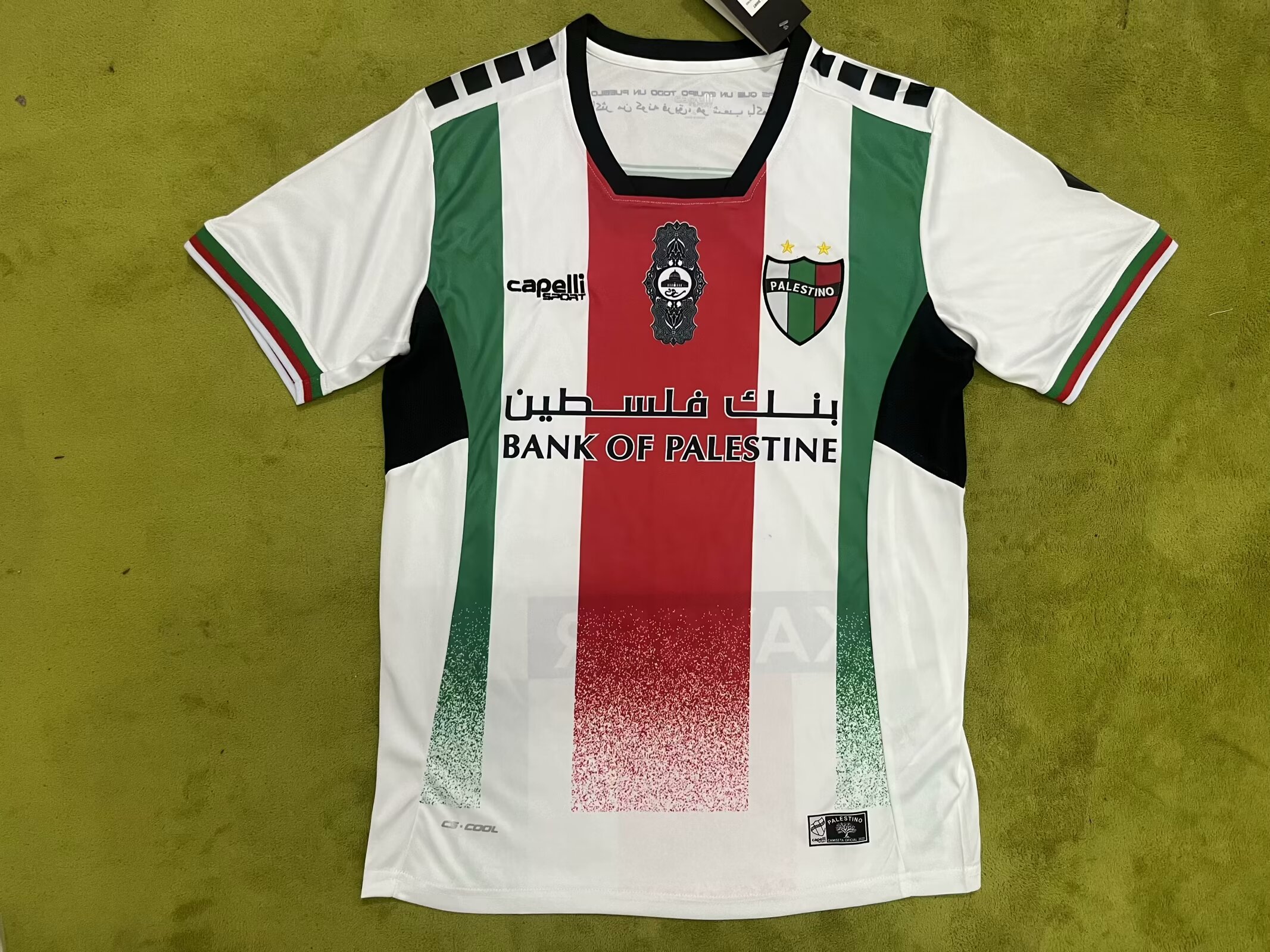 Fans Version 24/25 Palestine Soccer Jersey