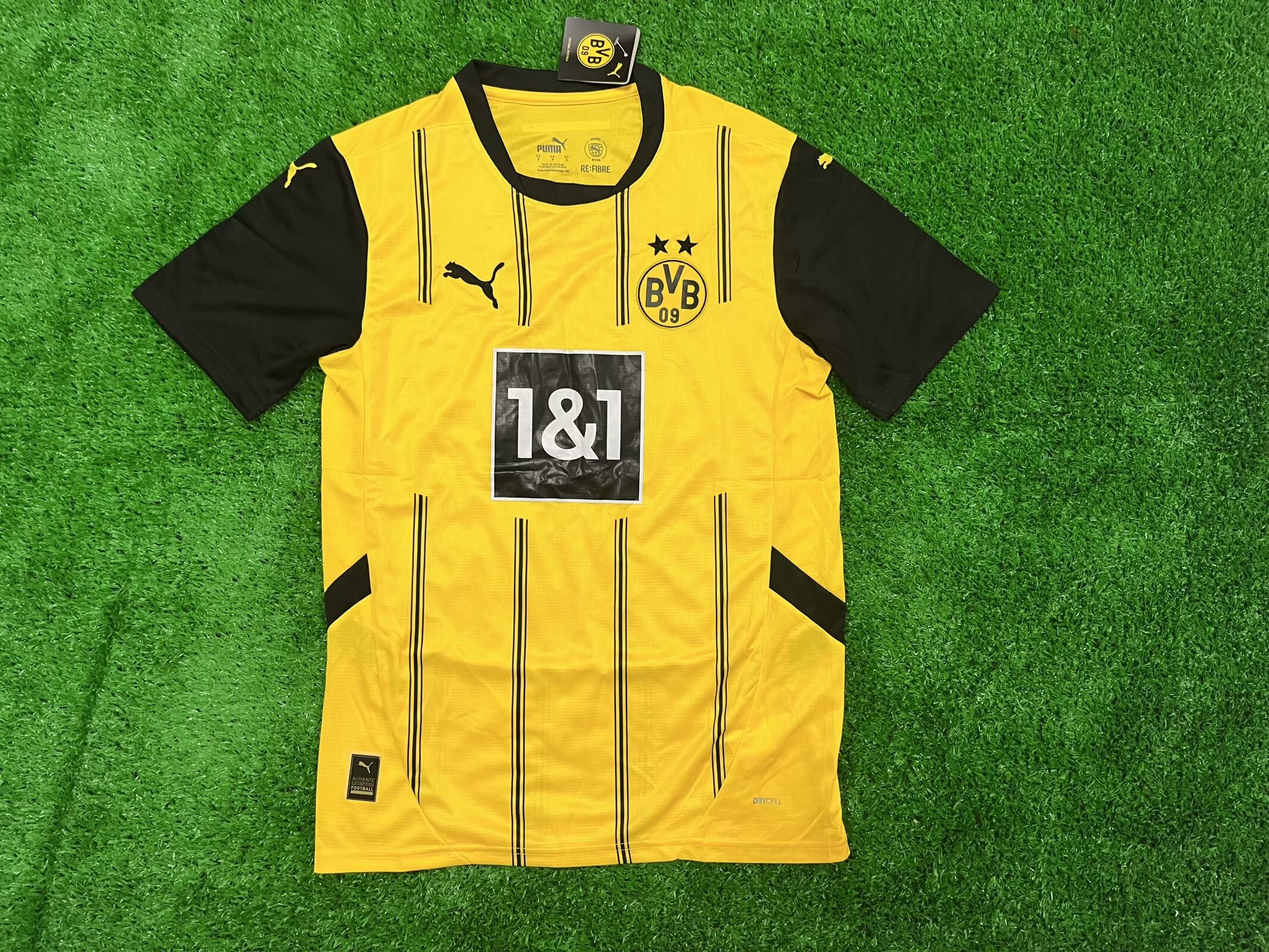 Fans Version 24/25 Dortmund HOME