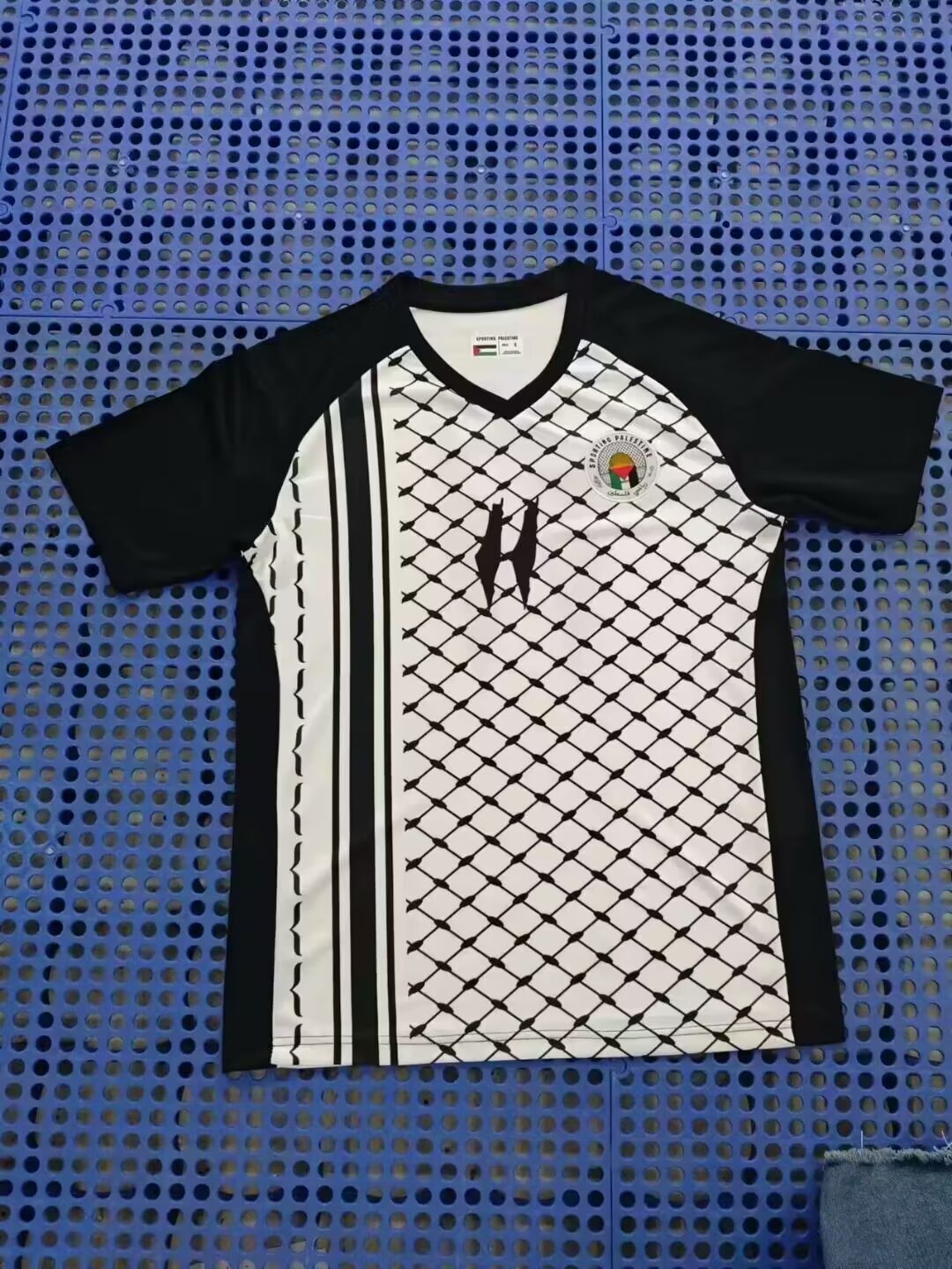 Fans Version 24/25 Palestine Soccer Jersey