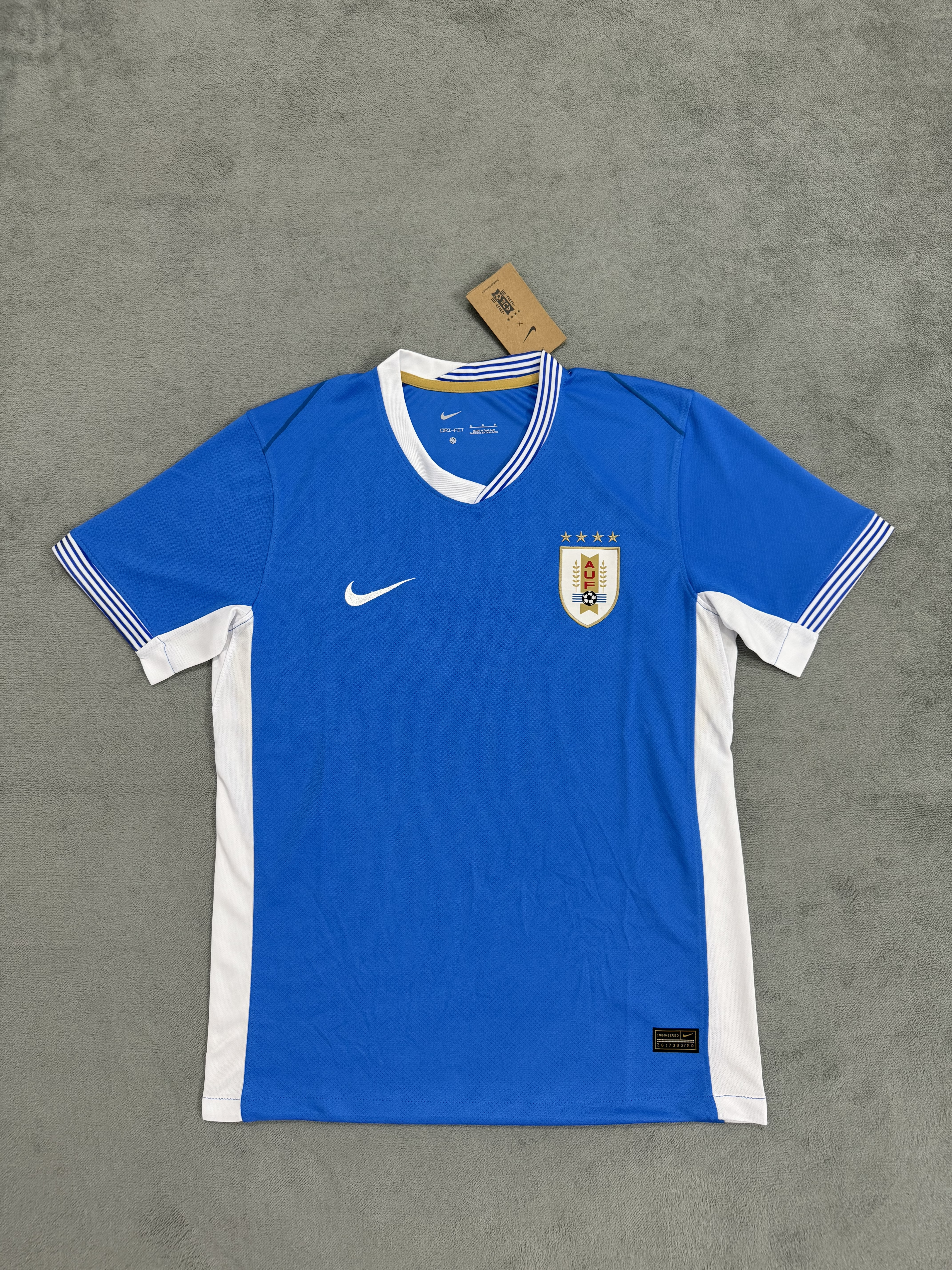 Fans Version 24/25 Uruguay Special blue
