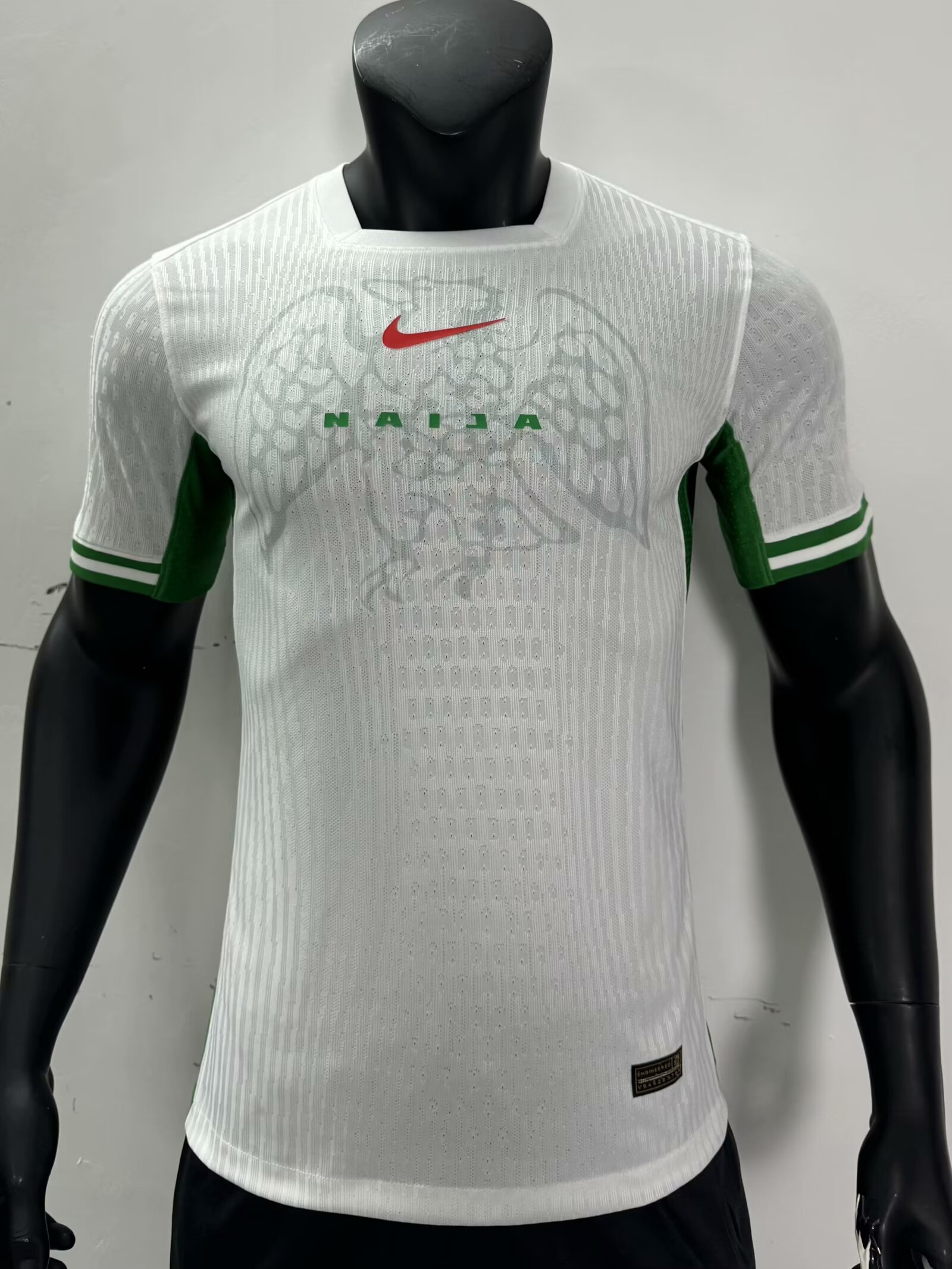 Player Version 24/25 Nigeria away