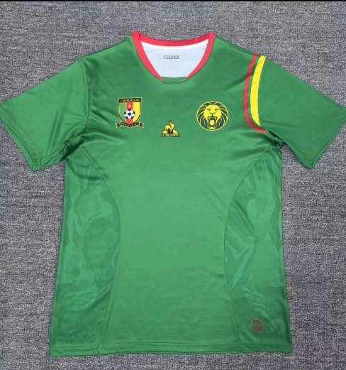 Fans Version 24/25 Cameroon Home Soccer Jerseys