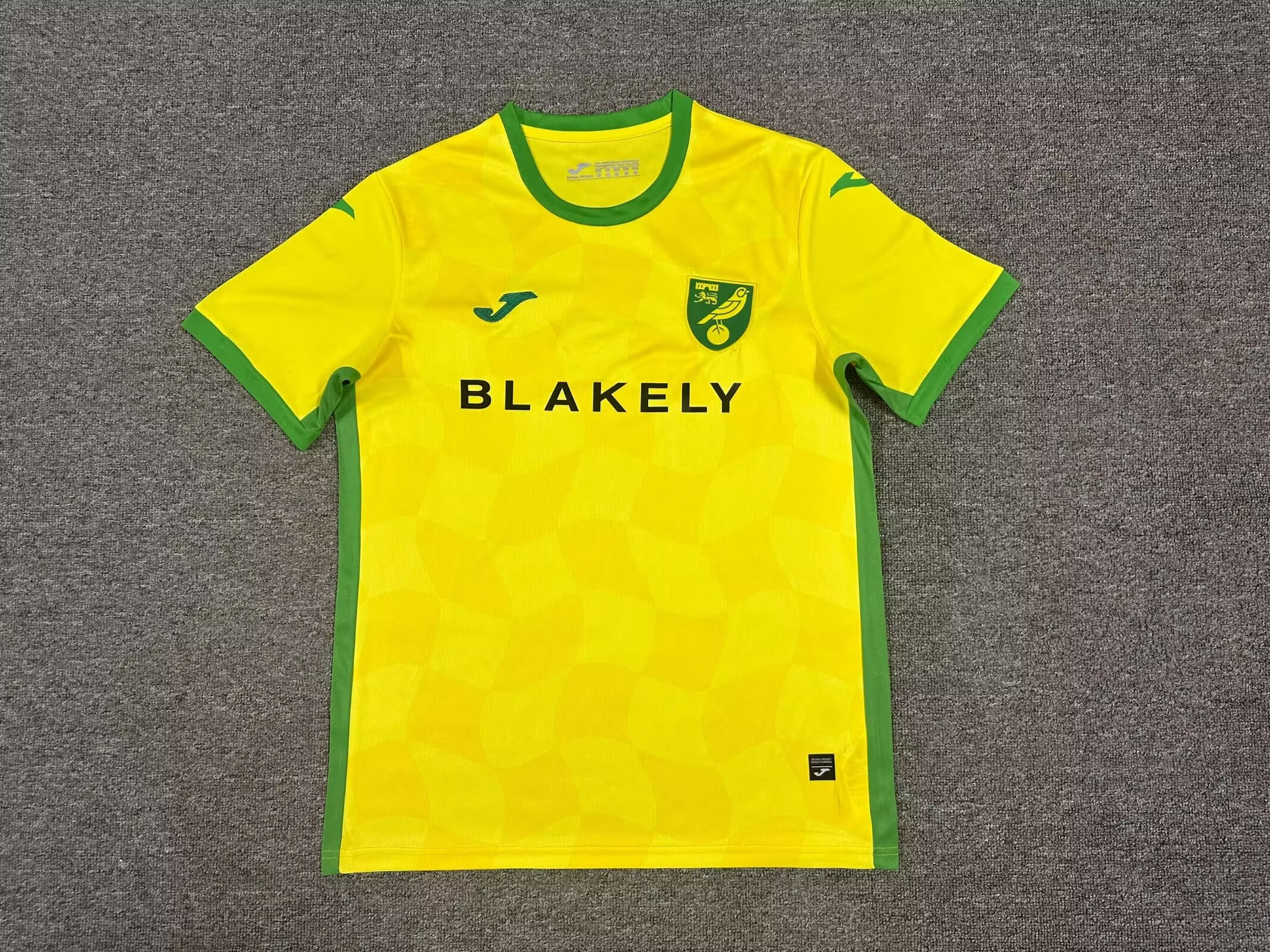 Fans Version 24/25 Norwich City Home