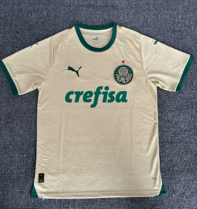 Fans Version 24/25 Palmeiras third away