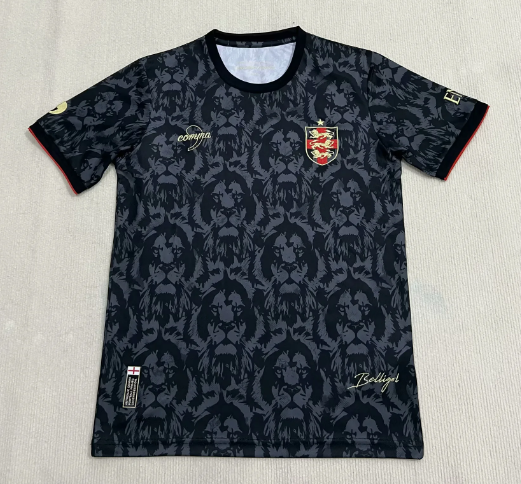 Fans Version 24/25 England Special edition