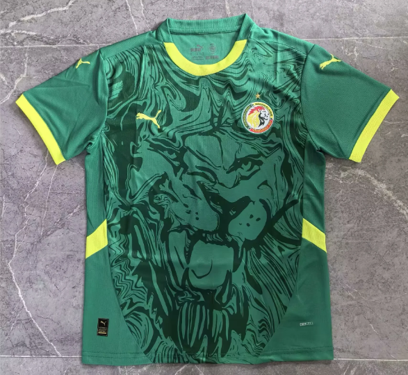 Fans Version 24/25 Senegal Away Jersey