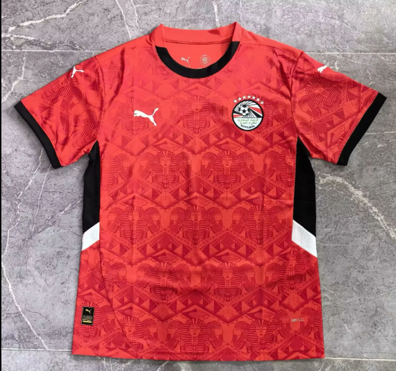 Fans Version 24/25 Egypt 