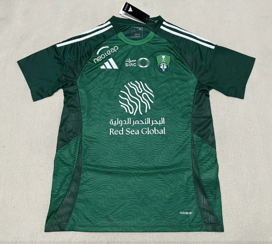 Fans Version 24/25 Saudi Nationals away