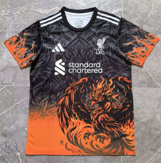 Fans Version 24/25 Liverpool special edition