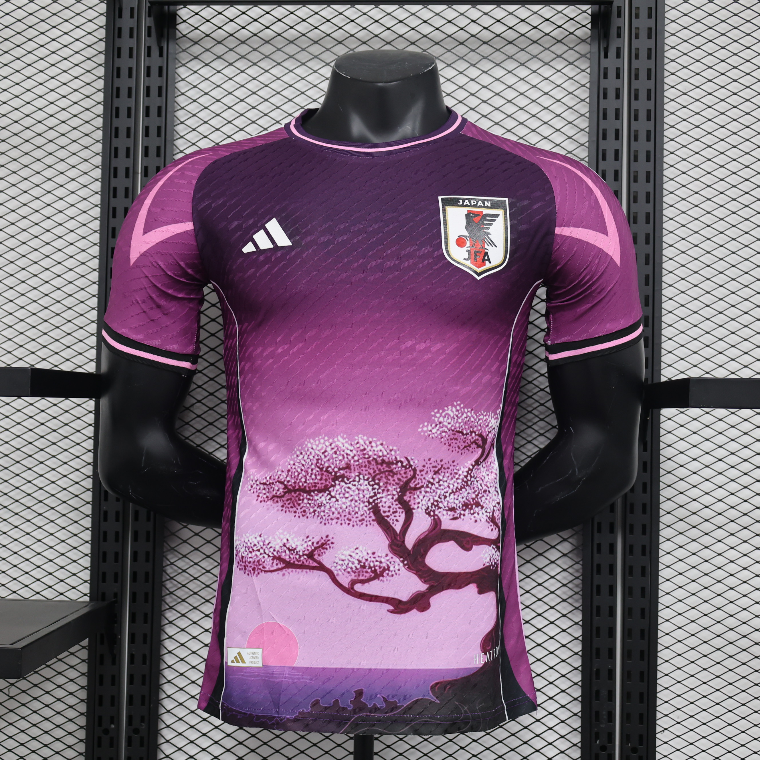 Player Version 24/25 Japan special