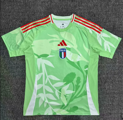 Fans Version 25/26 Italy away