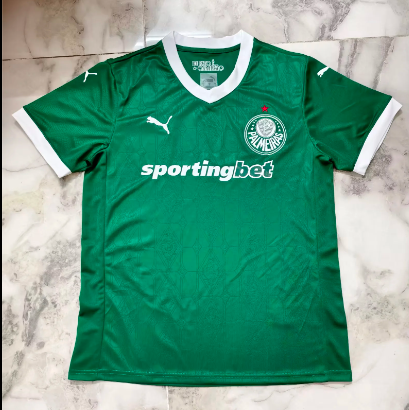 Fans Version 25/26 Palmeiras home