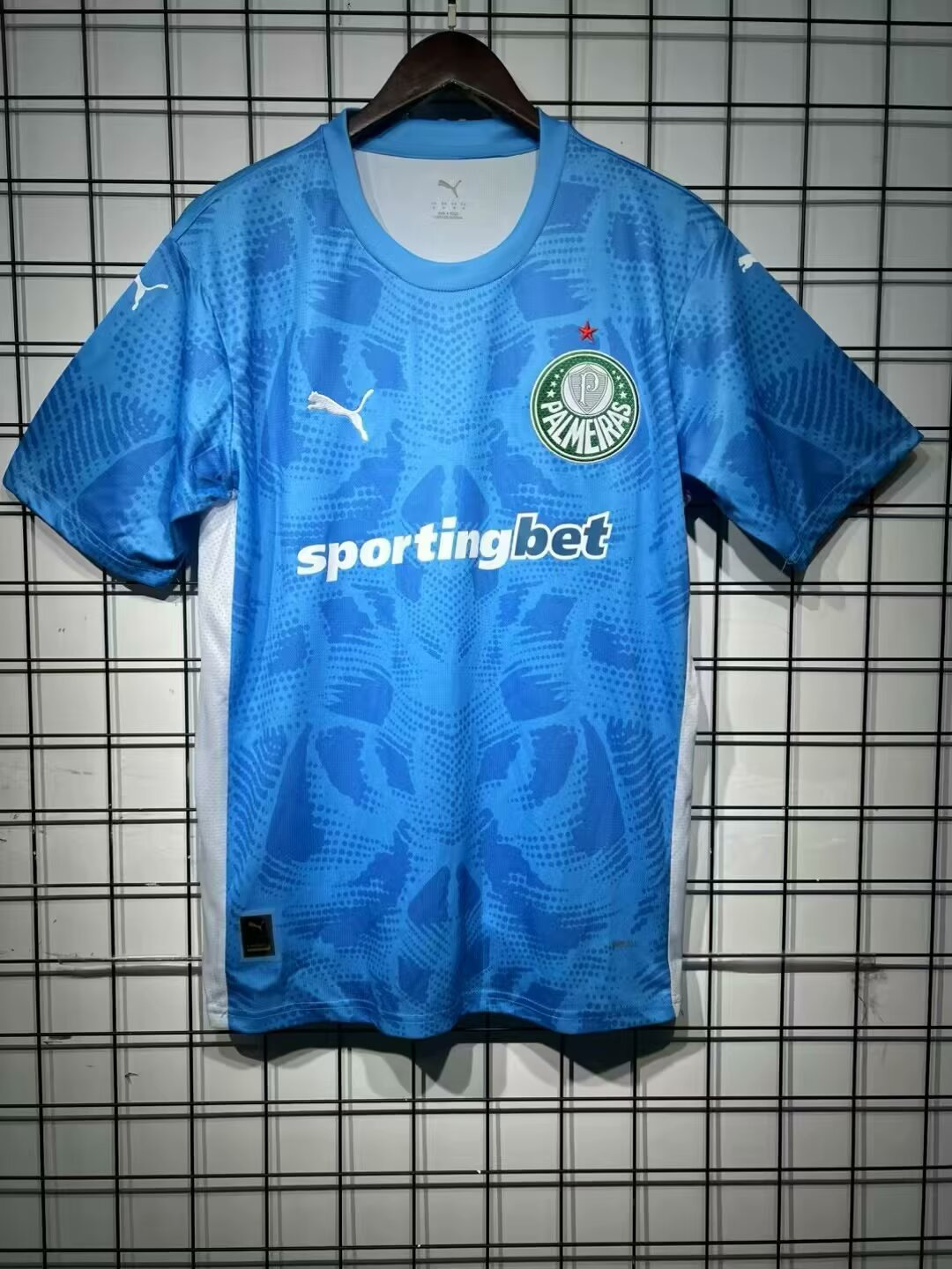 Fans Version 25/26Palmeiras blue goalkeeper