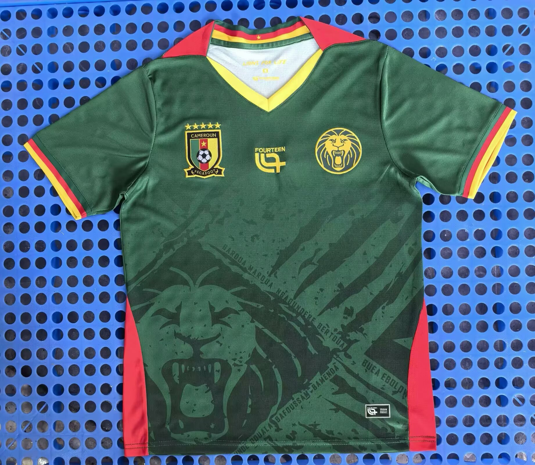 Fans Version 25/26Cameroon home fans