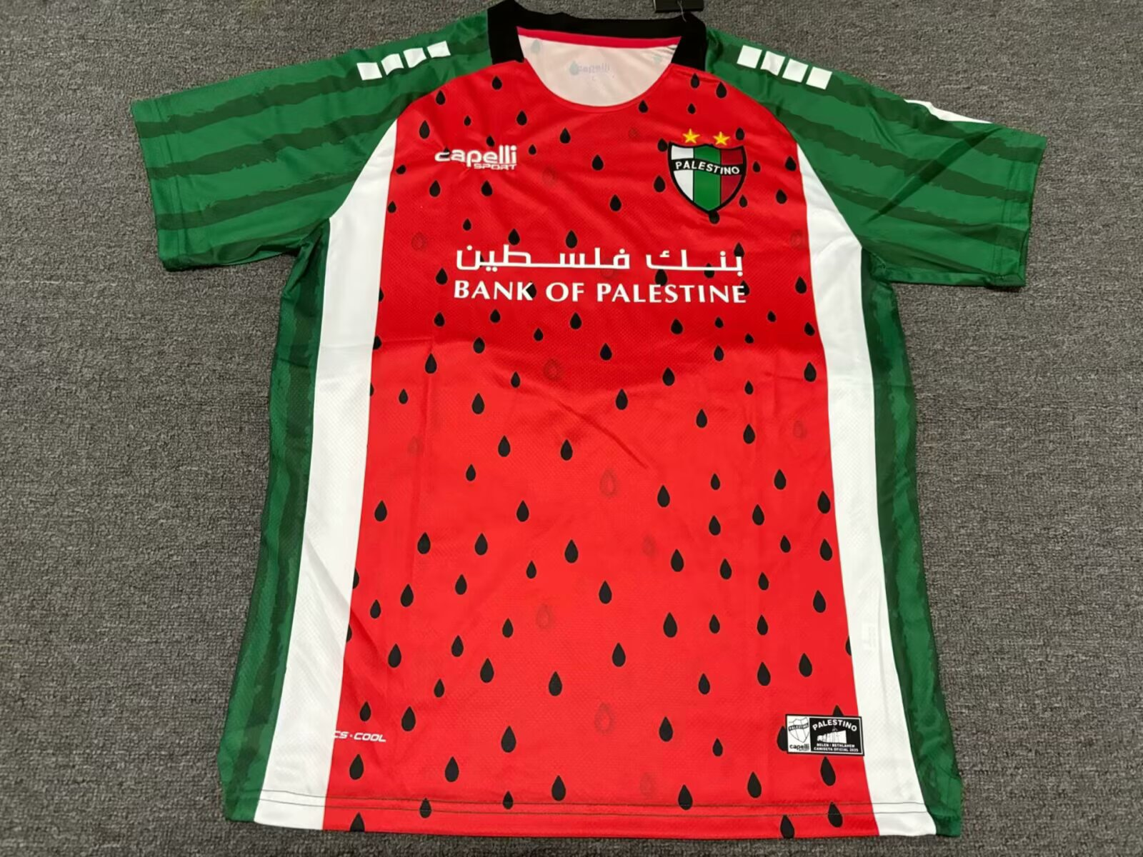 Fans Version 2526Palestine Special Edition