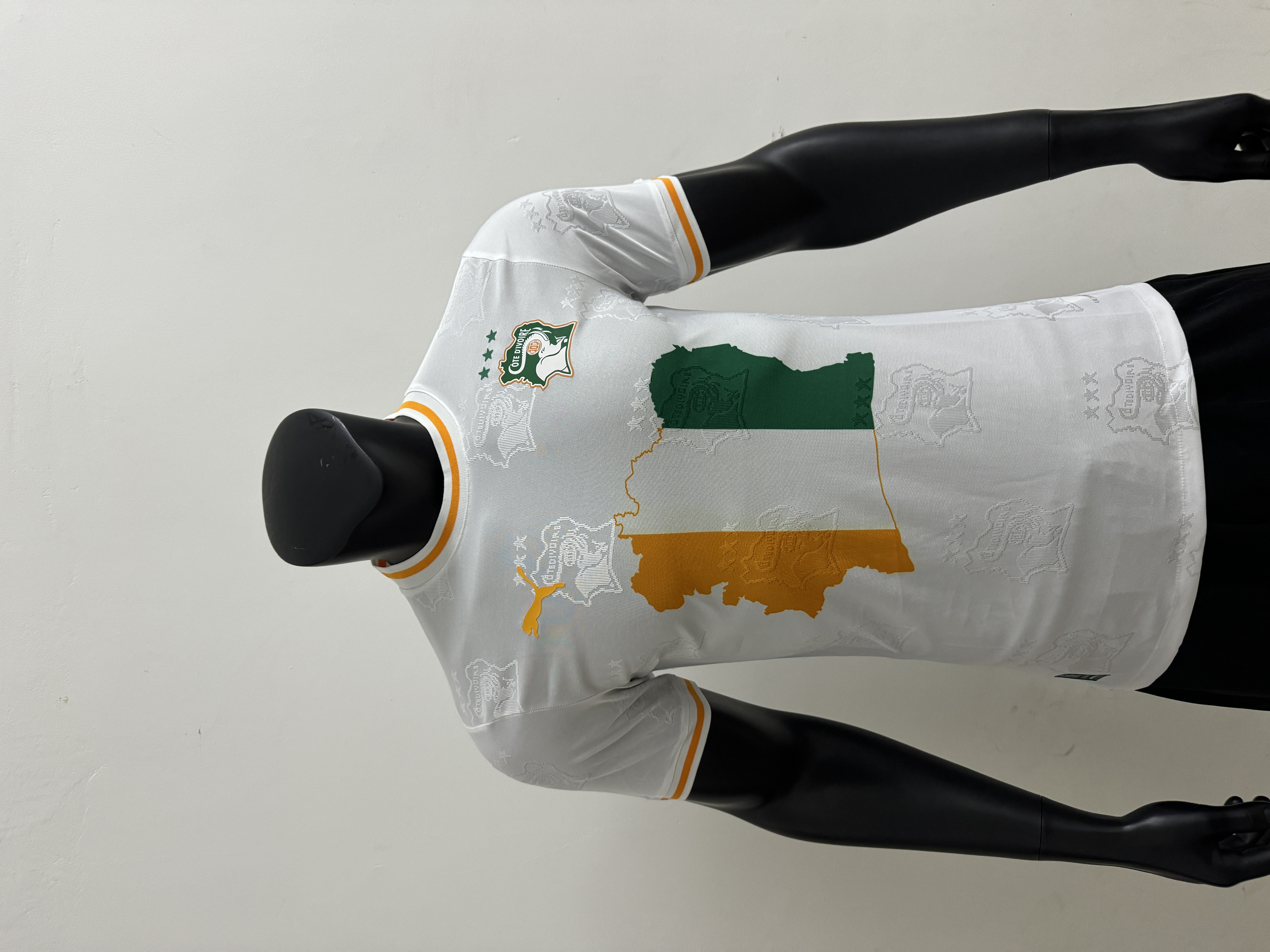 2526Ivory Coast team logo white player