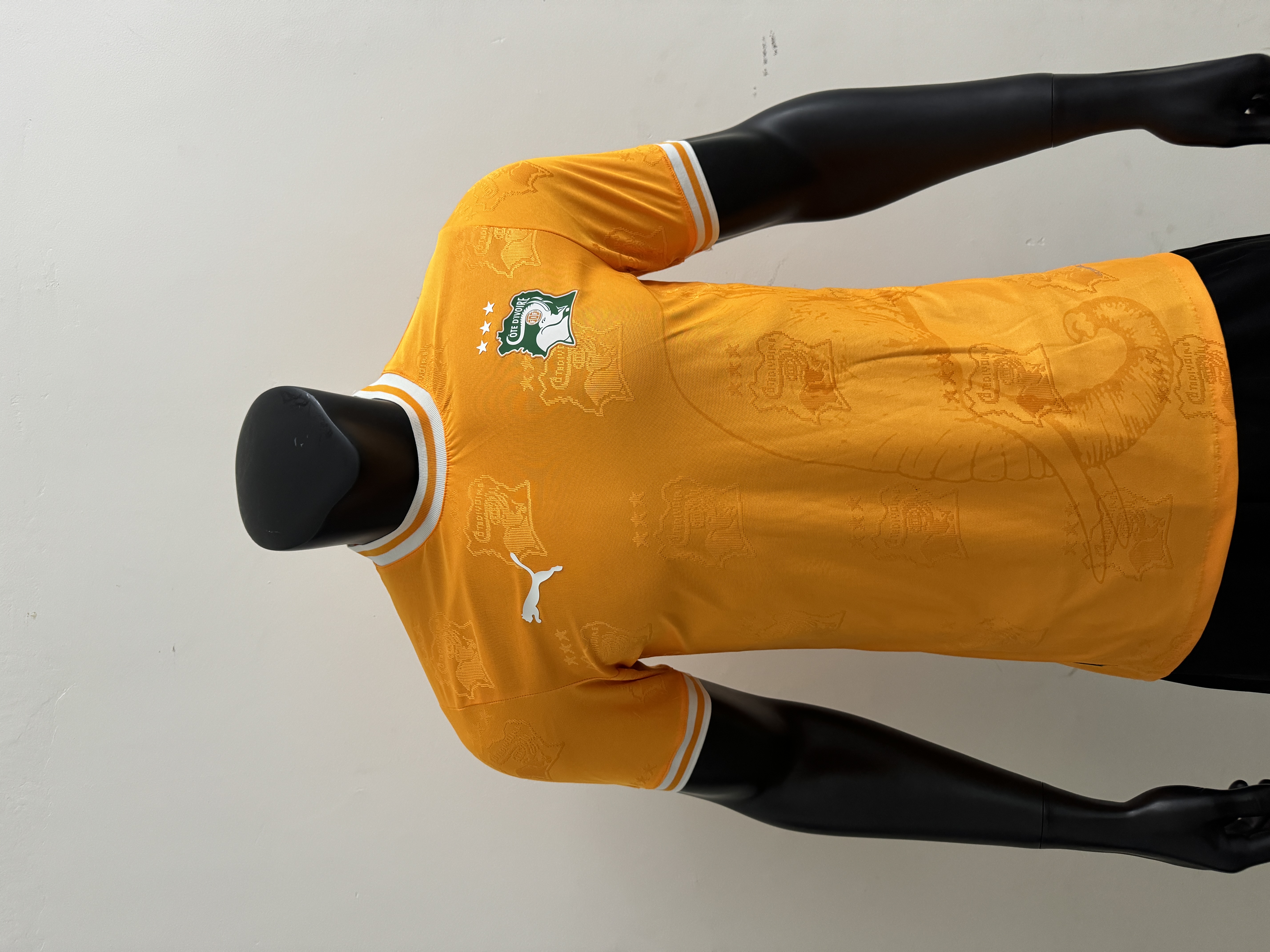 2526Ivory Coast team logo orange  player