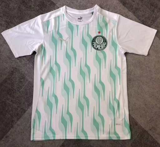 Fans Version 2526Palmeiras training suit 