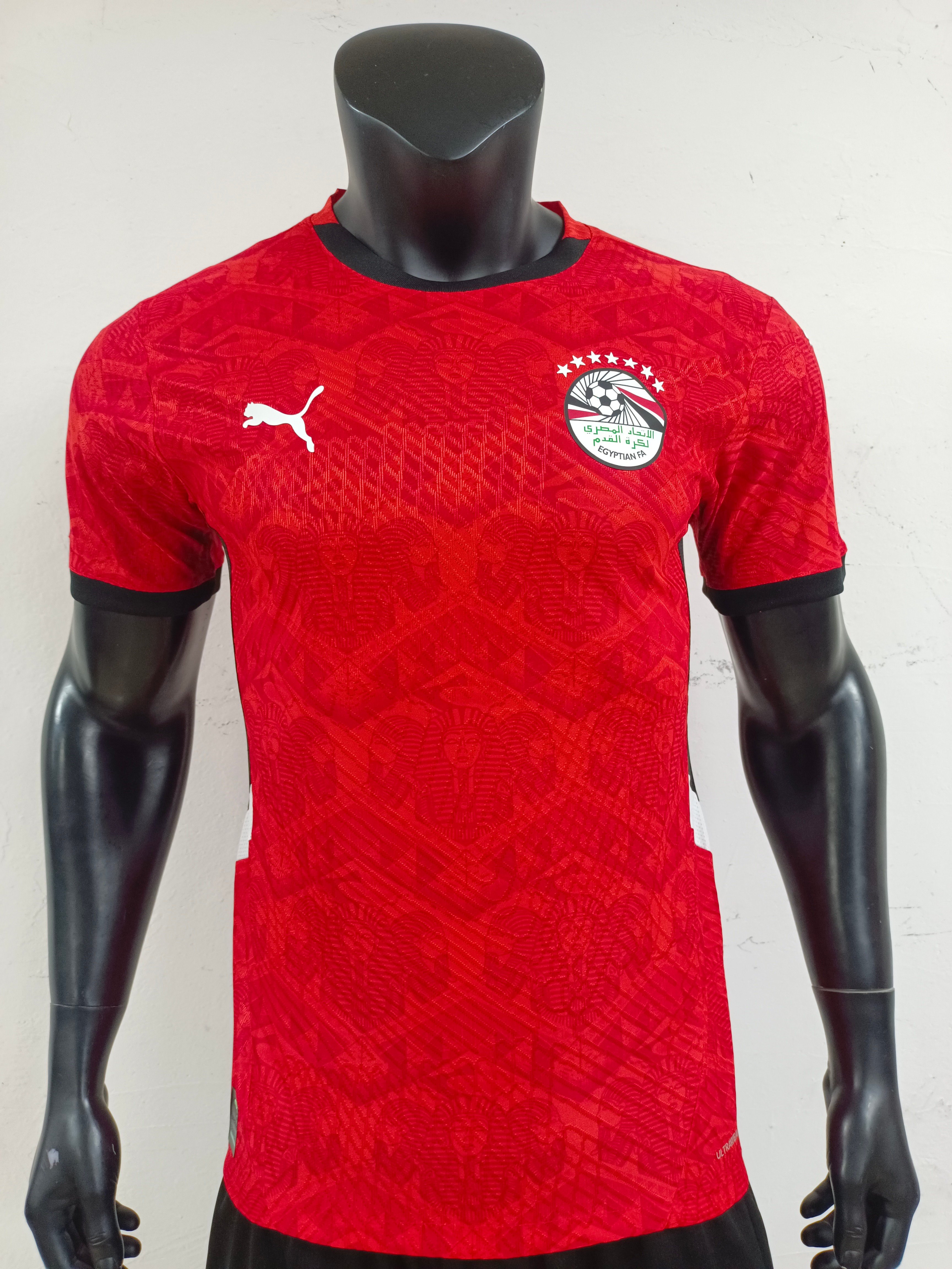 Player Version 25/26 Egyptian home