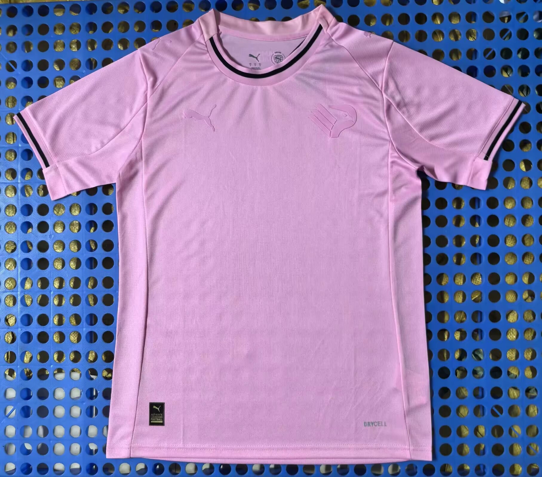Fans Version 25/26 Palermo home field