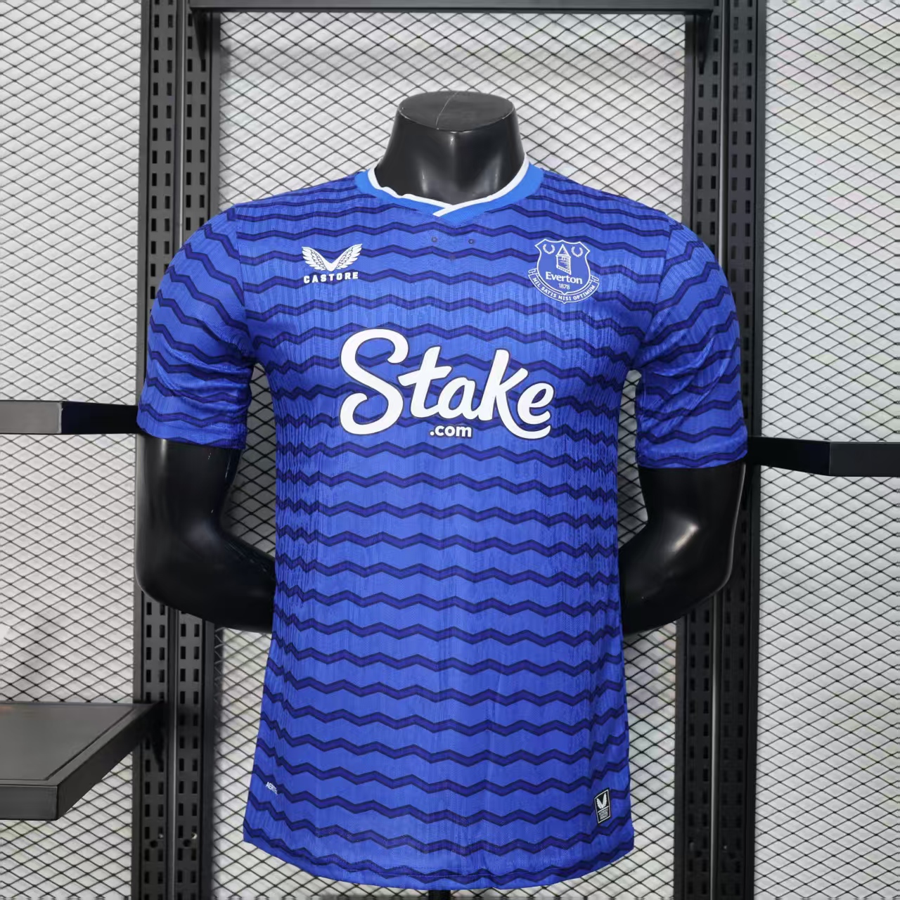 Player Version 25/26 Everton Blue