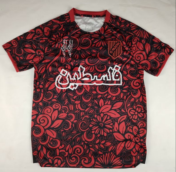 Fans Version 25/26 Palestine