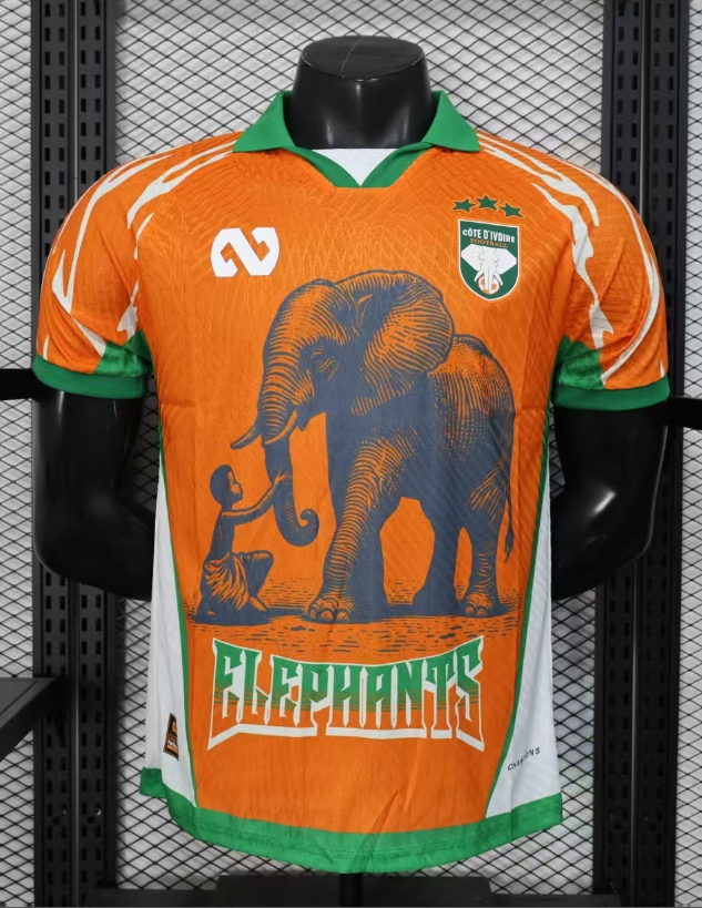Player Version 25/26 Ivory Coast Special Edition