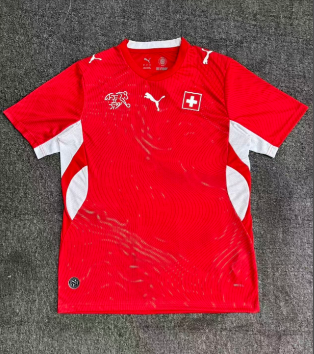 Fan version 25/26 Switzerland home 