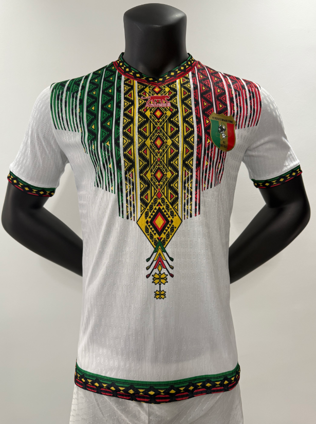 Player Version 26/27 Mali away