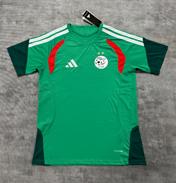 Fan version 2026 Algeria training suit green
