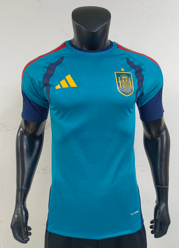 Player Version 2026 Spanish training