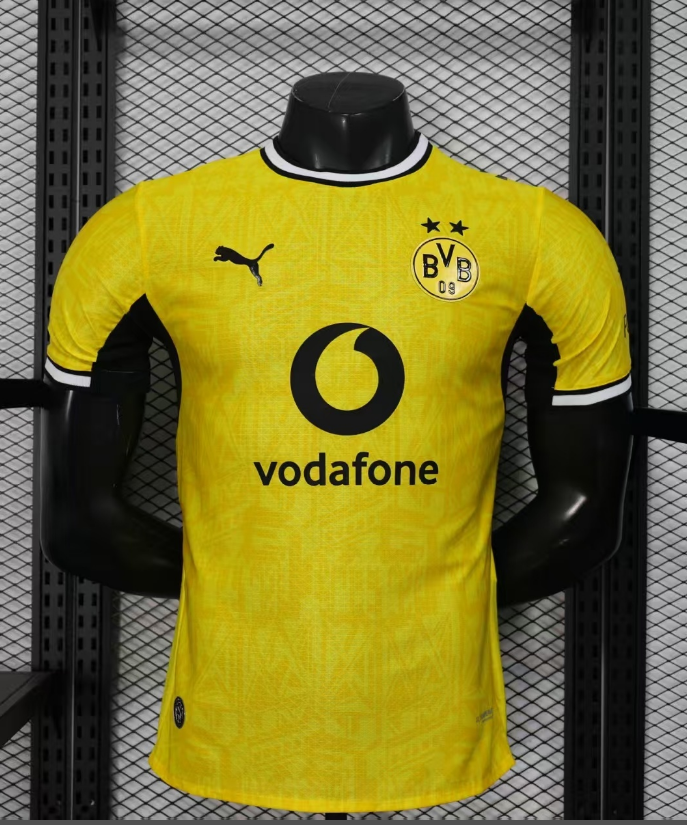 Player Version 26/27 Dortmund home