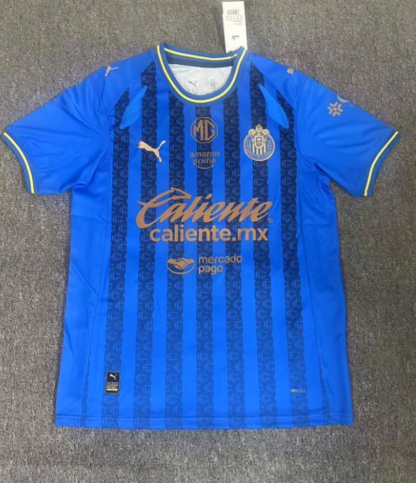 Fan version 25/26 Chivas Second away