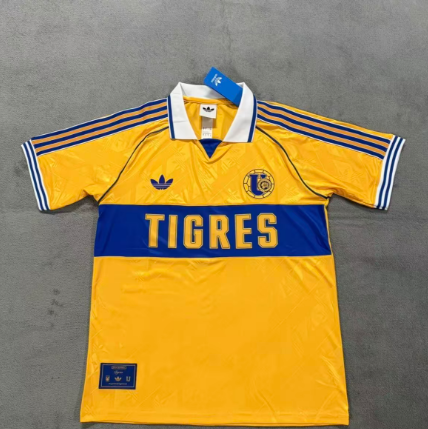 Fan version 25/26 Tiger 65th Anniversary Edition jersey