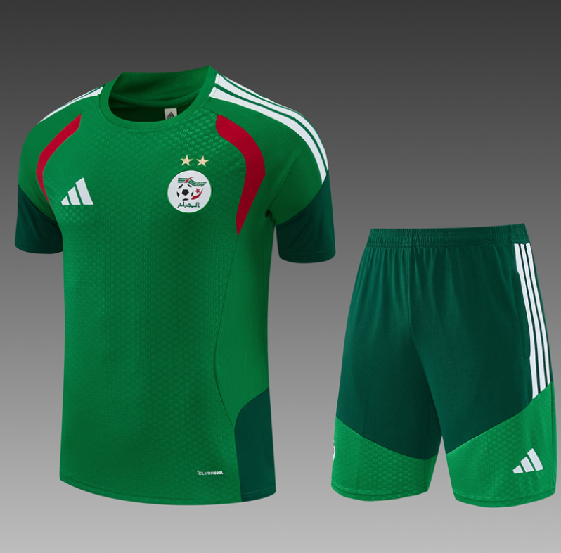 26/27 Algerian green Adults Training Kits