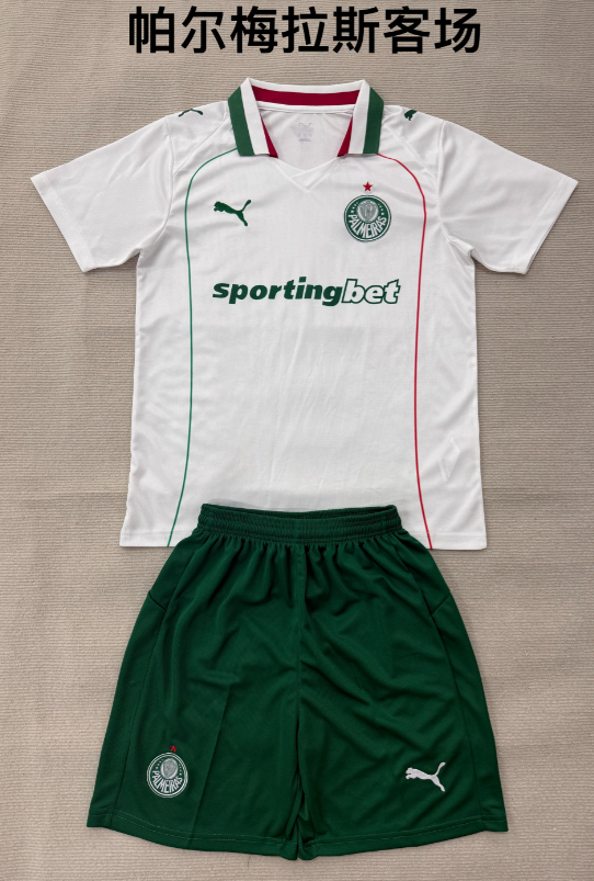 Adults kits 26/27 Palmeiras away