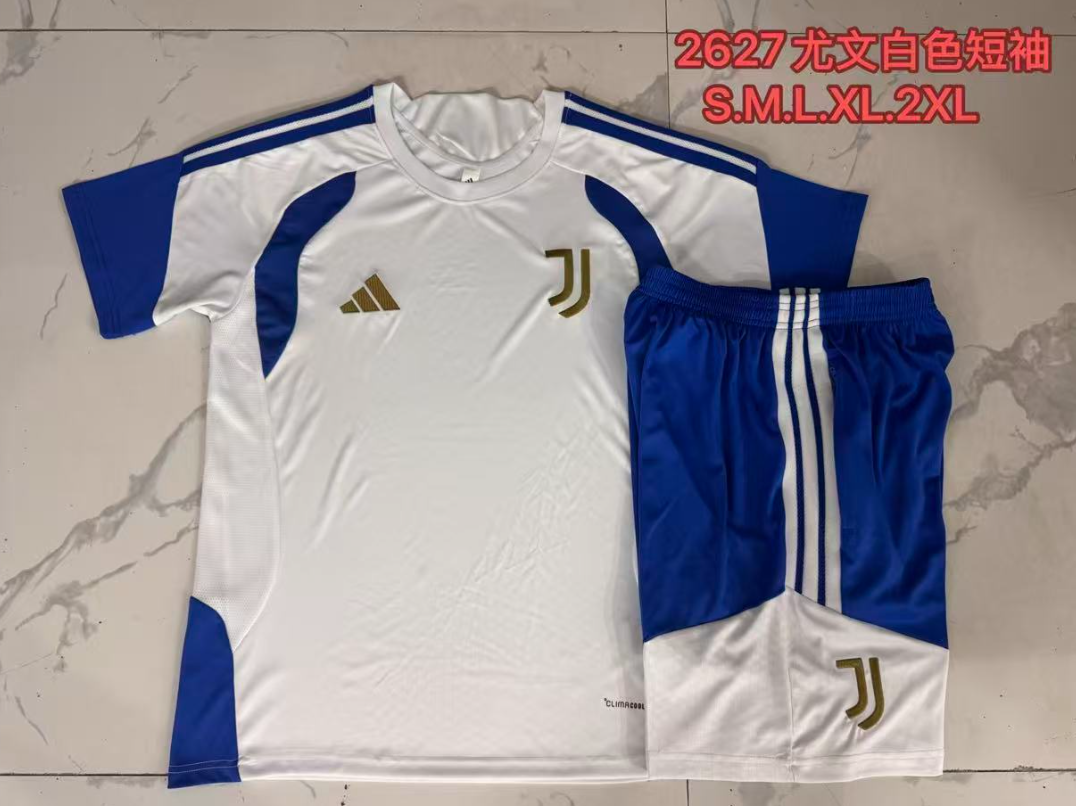 26/27 Adults Juventus white Training Kits
